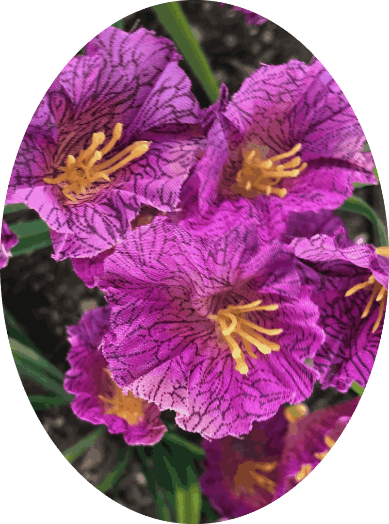 purple-paper-flower-round
